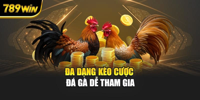 Đa dạng kèo cá cược đá gà dễ tham gia