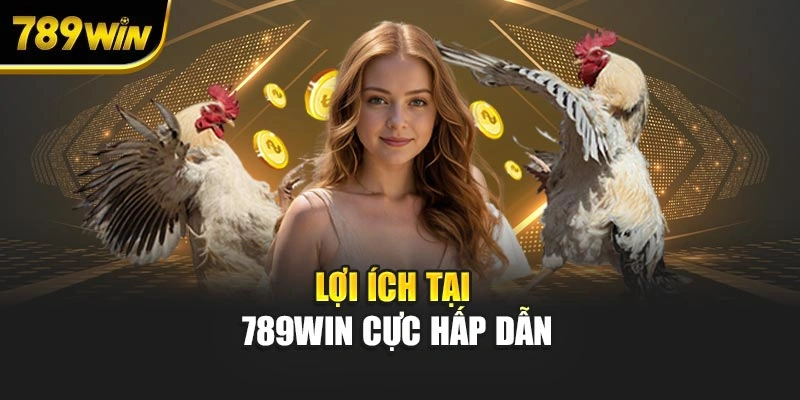 Lợi ích tại 789WIN cực hấp dẫn