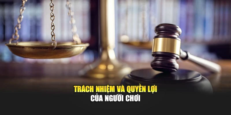 Trách nhiệm và quyền lợi của người chơi