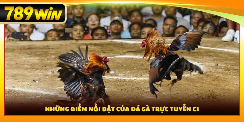 Những điểm nổi bật của đá gà trực tuyến C1